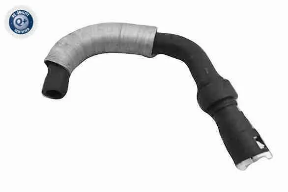 Radiator Hose - V25-2298 1