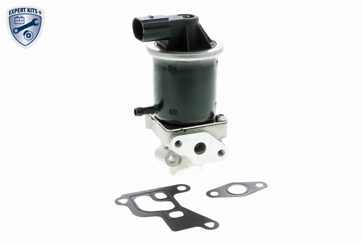 Valve, Exhaust Gas Recirculation - V10-63-0072 1