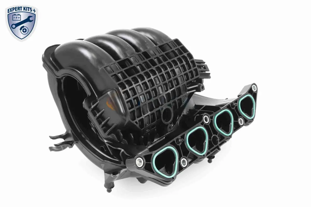 Intake Manifold Module - V10-5427 2