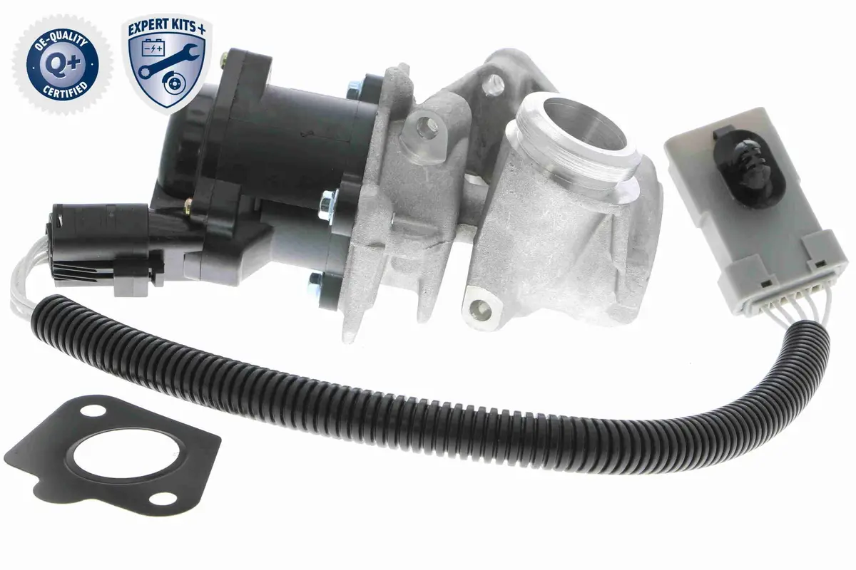 Valve, Exhaust Gas Recirculation - V25-63-0009 1
