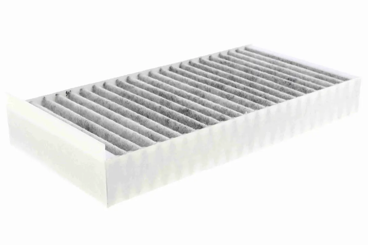Filter, Cabin Air - V20-31-5008 1