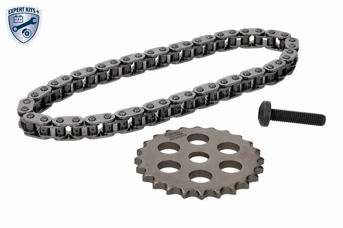 Chain Kit, Oil Pump Drive - V20-4073 1