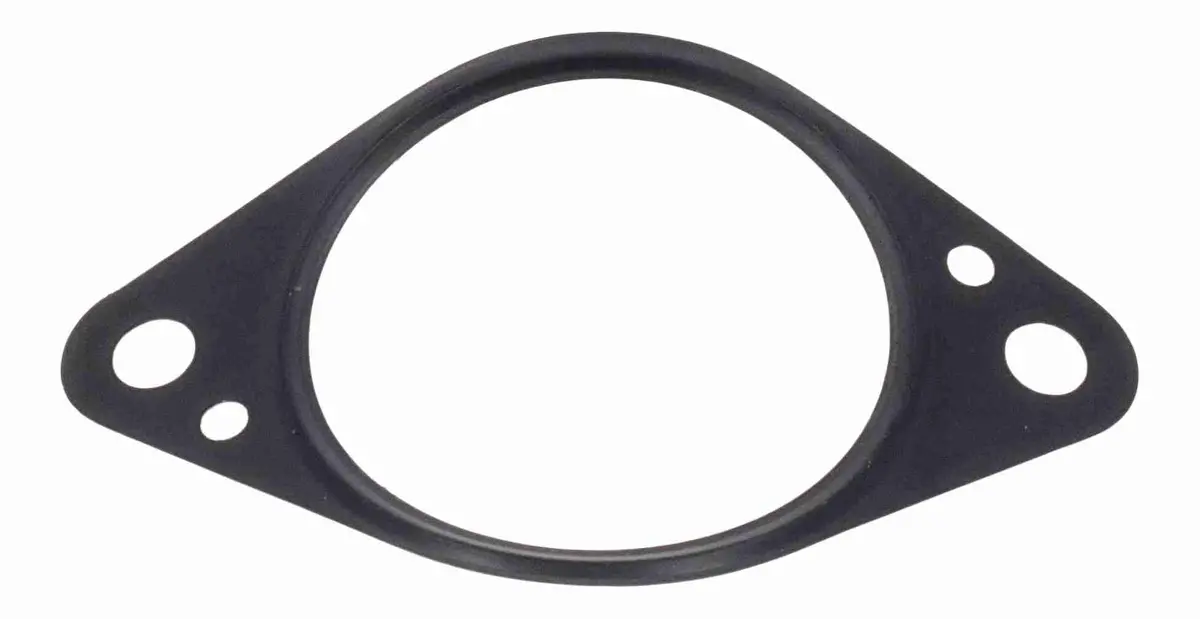 Gasket, Egr Valve - V10-63-9167 1