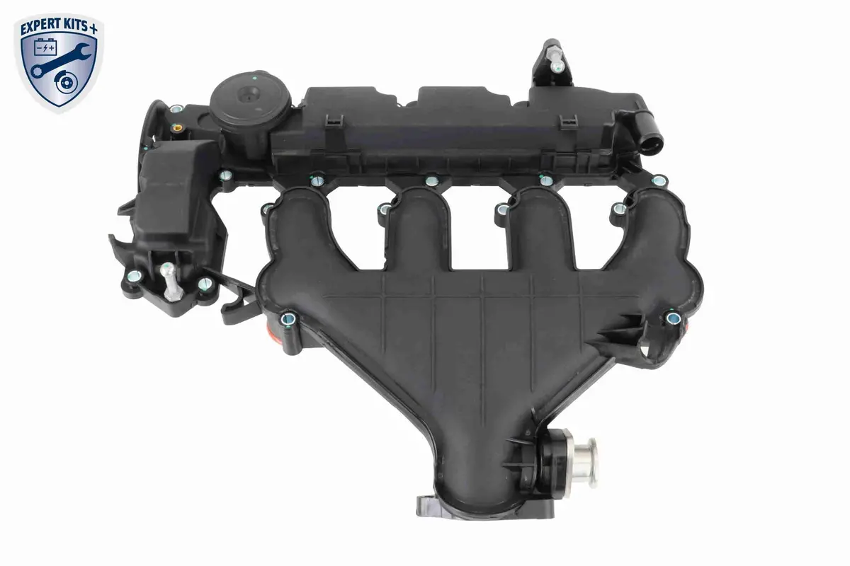 Cylinder Head Cover - V42-1046 1