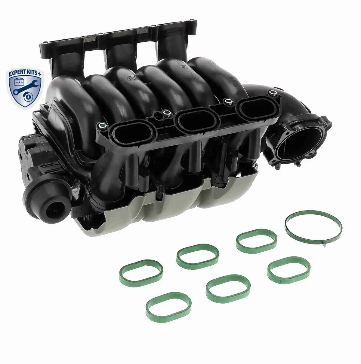 Intake Manifold Module - V10-6771 1