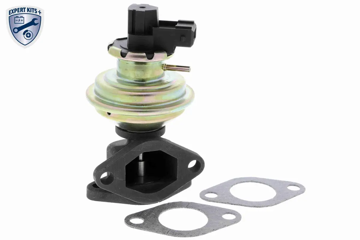 Valve, Exhaust Gas Recirculation - V48-63-0001 1