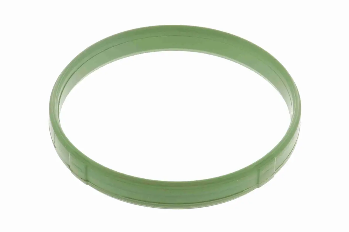 Gasket, Throttle Body - V20-81-0036 1