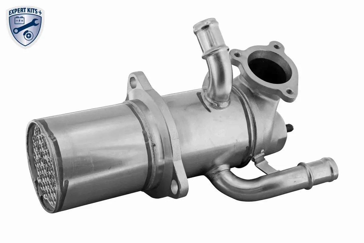 Cooler, Exhaust Gas Recirculation - V10-63-0189 1