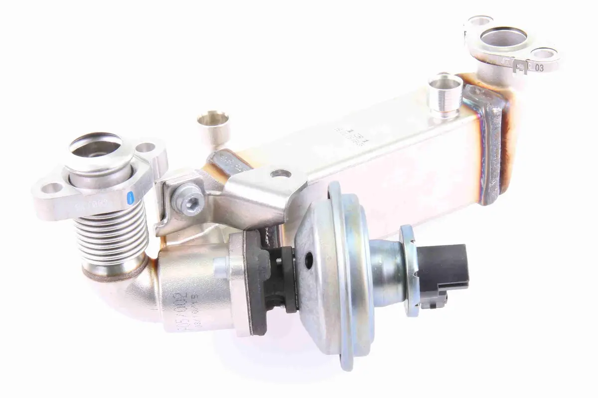 Cooler, Exhaust Gas Recirculation - V20-63-0038 1