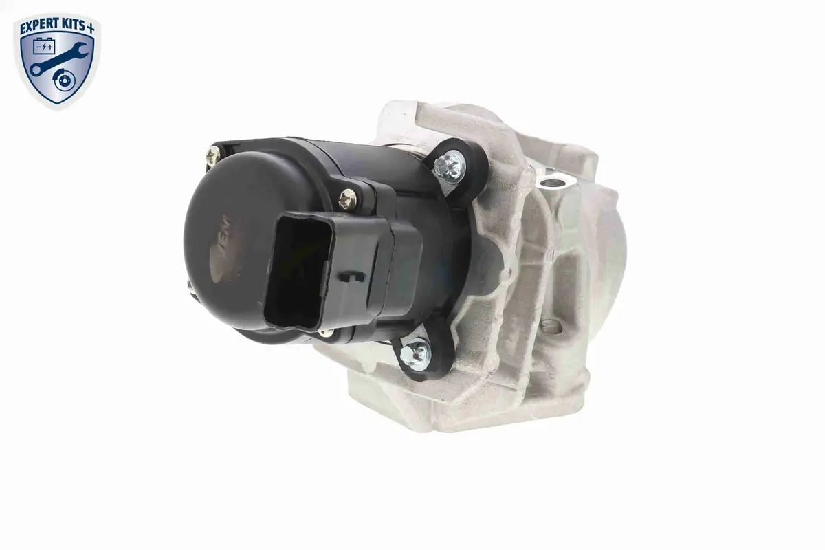 Valve, Exhaust Gas Recirculation - V42-63-0002 2