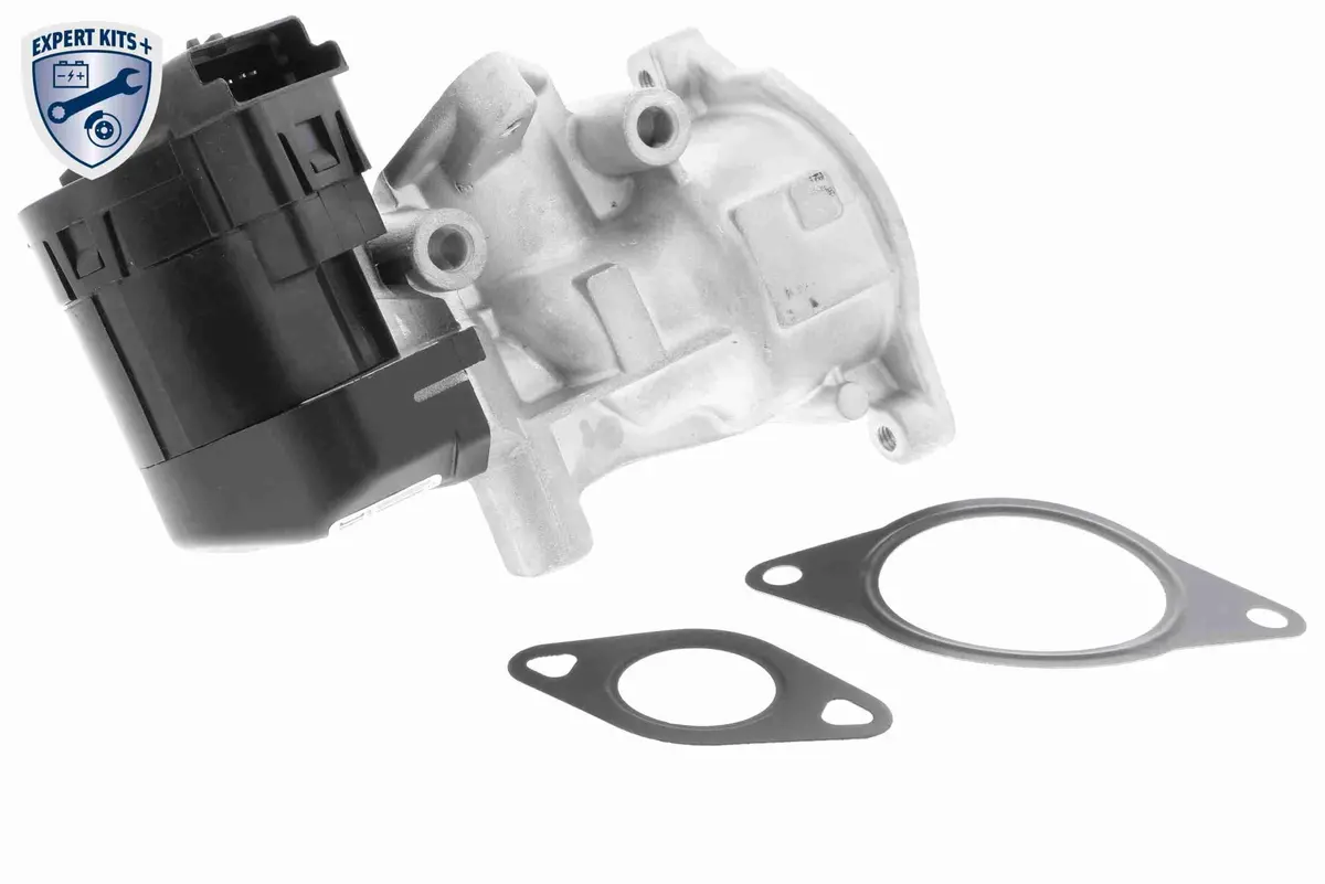 Valve, Exhaust Gas Recirculation - V25-63-0010 1