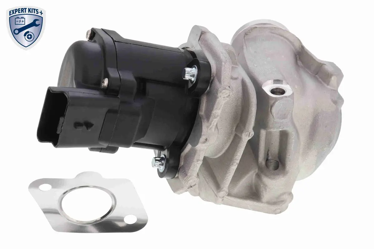 Valve, Exhaust Gas Recirculation - V42-63-0002 1