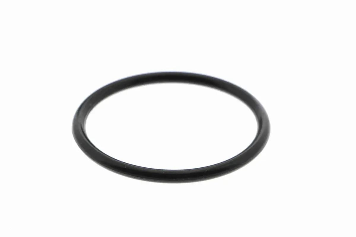 Water Pump, Engine Cooling - V25-50022 2