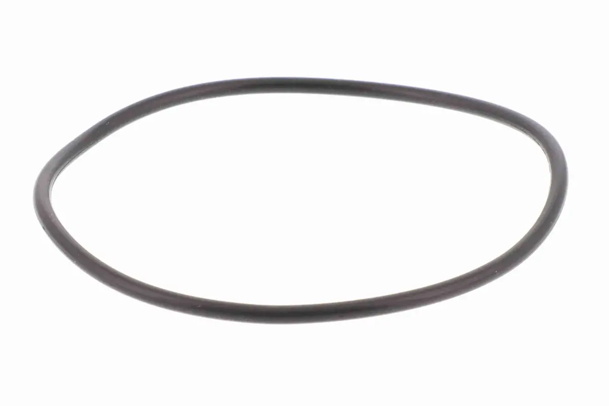 Hydraulic Filter, Automatic Transmission - V10-5394 2