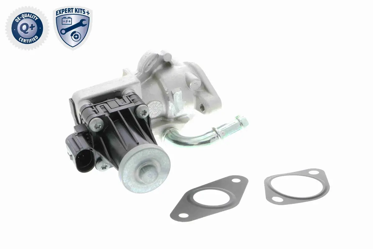 Valve, Exhaust Gas Recirculation - V25-63-0019 1