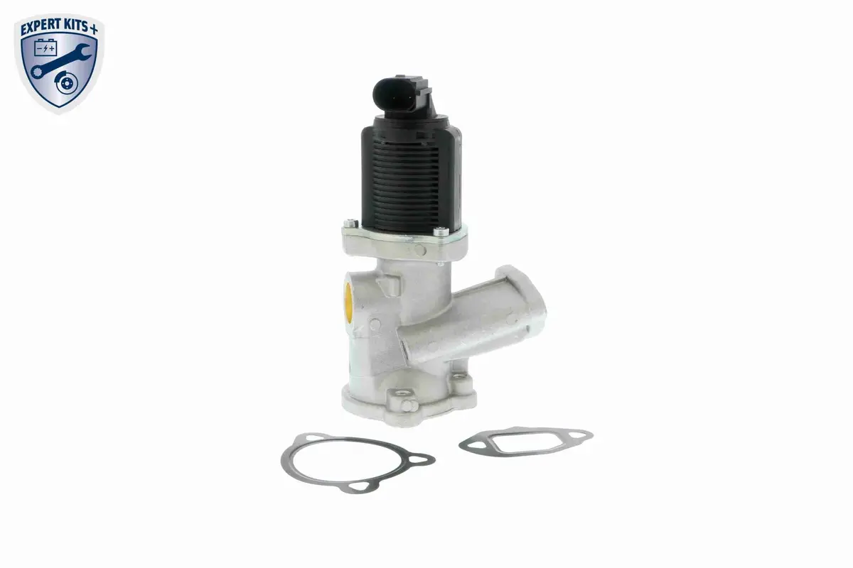 Valve, Exhaust Gas Recirculation - V40-63-0016 1