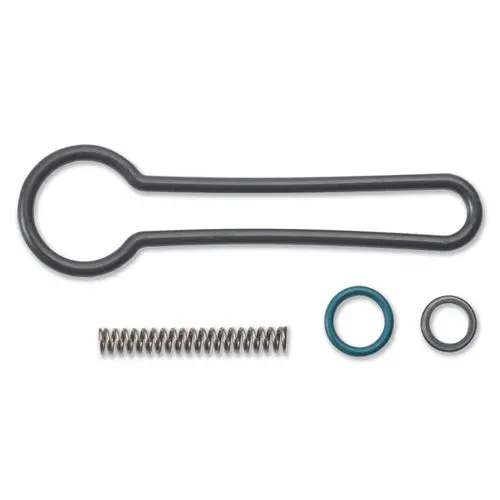 Ap0086 Fuel Pressure Regulator Kit "Blue Spring Kit" 1