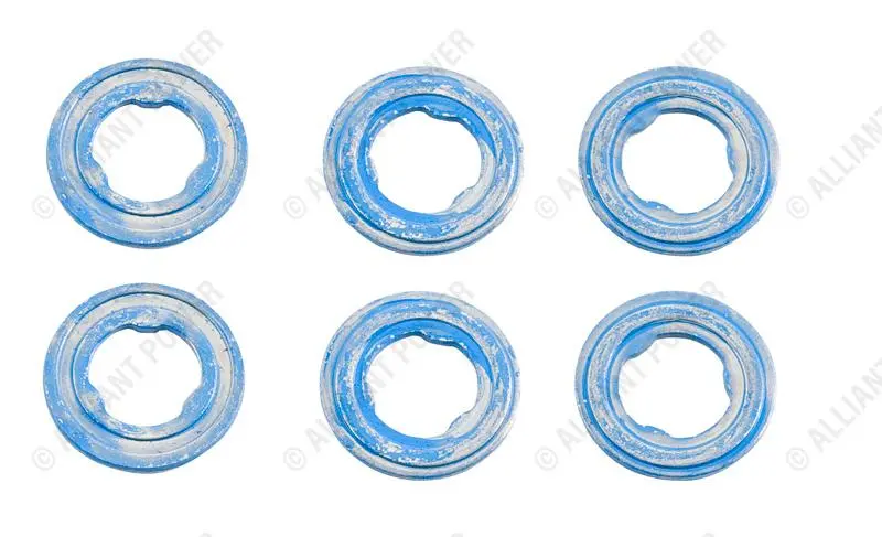 Ap0006 Stainless Steel Chamber Gaskets 1