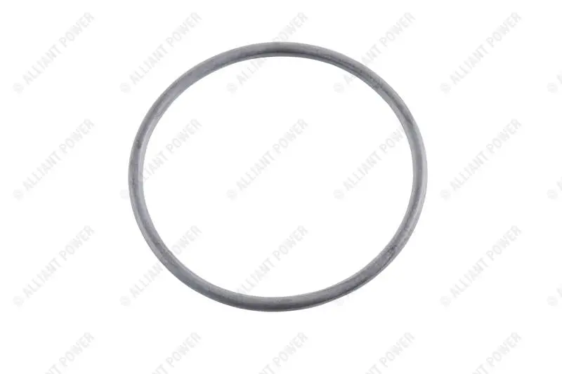 Ap0042 Exhaust Gas Recirculation (Egr) Valve O-Ring 1
