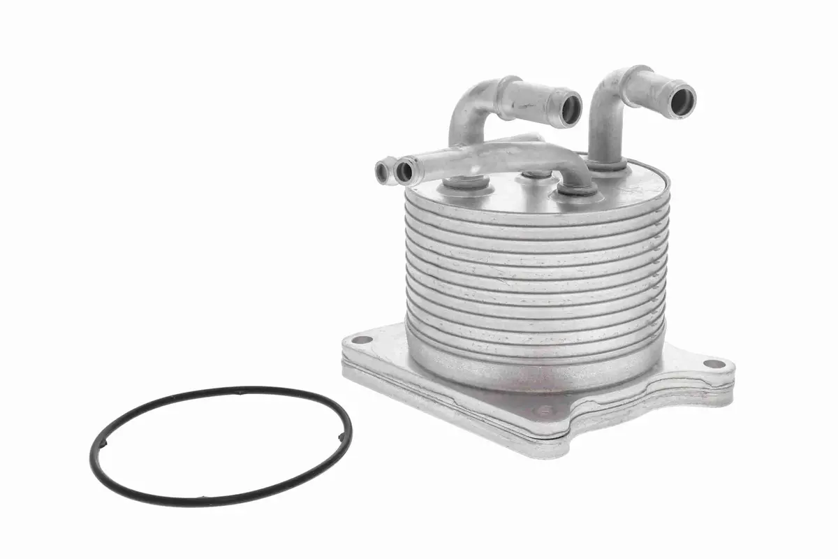 Oil Cooler, Automatic Transmission - V33-60-0012 1