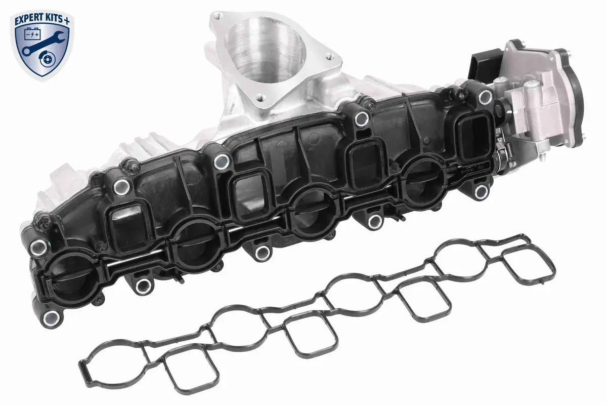 Intake Manifold Module - V10-5268 1