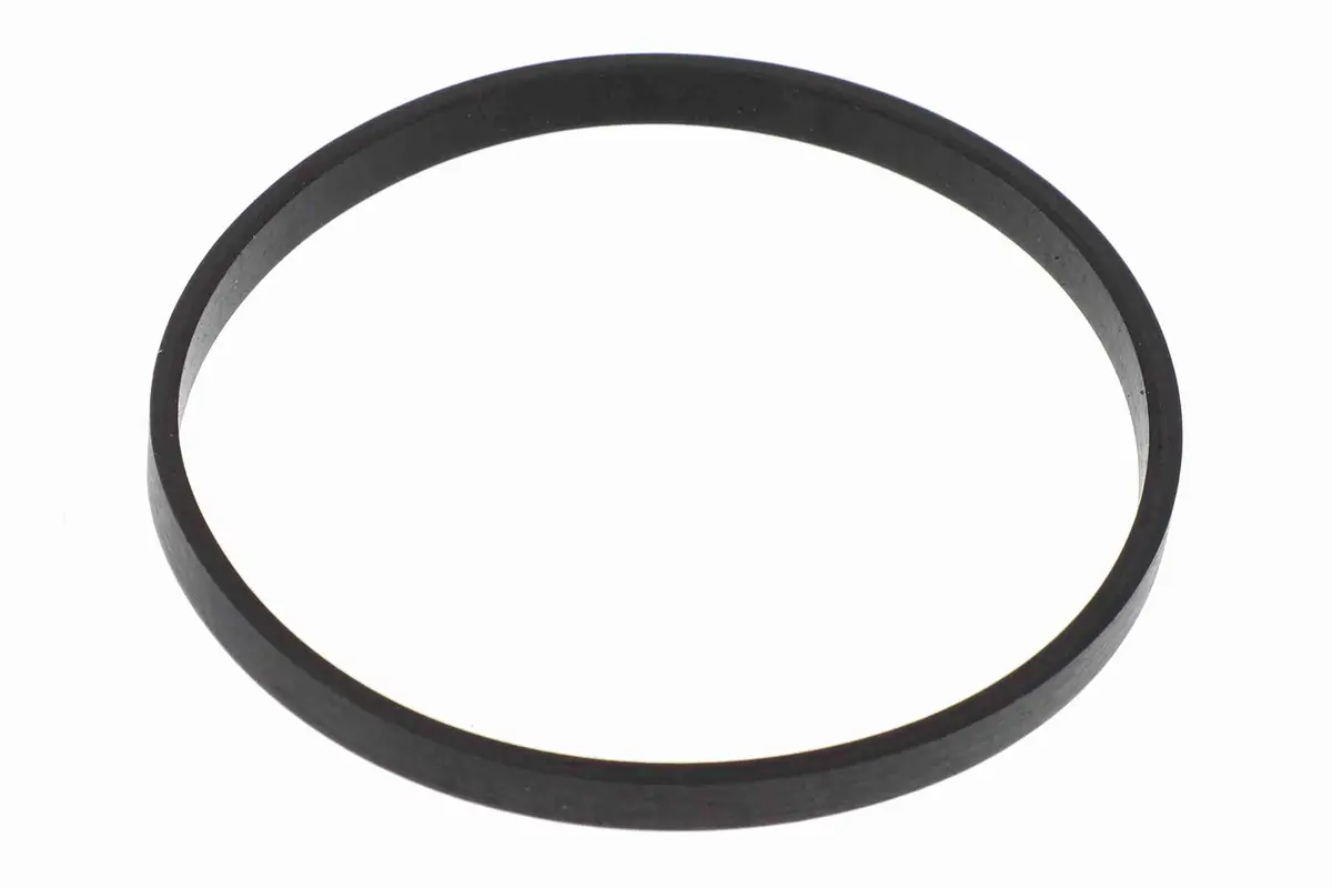 Gasket, Throttle Body - V20-81-0044 1