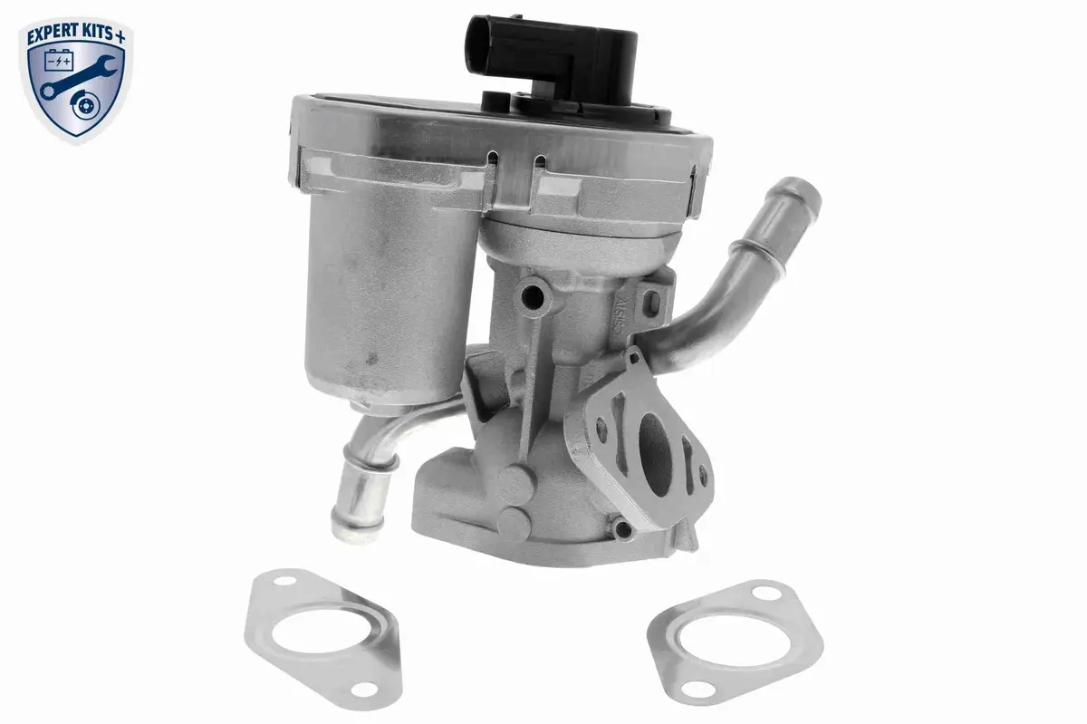 Valve, Exhaust Gas Recirculation - V25-63-0016 1