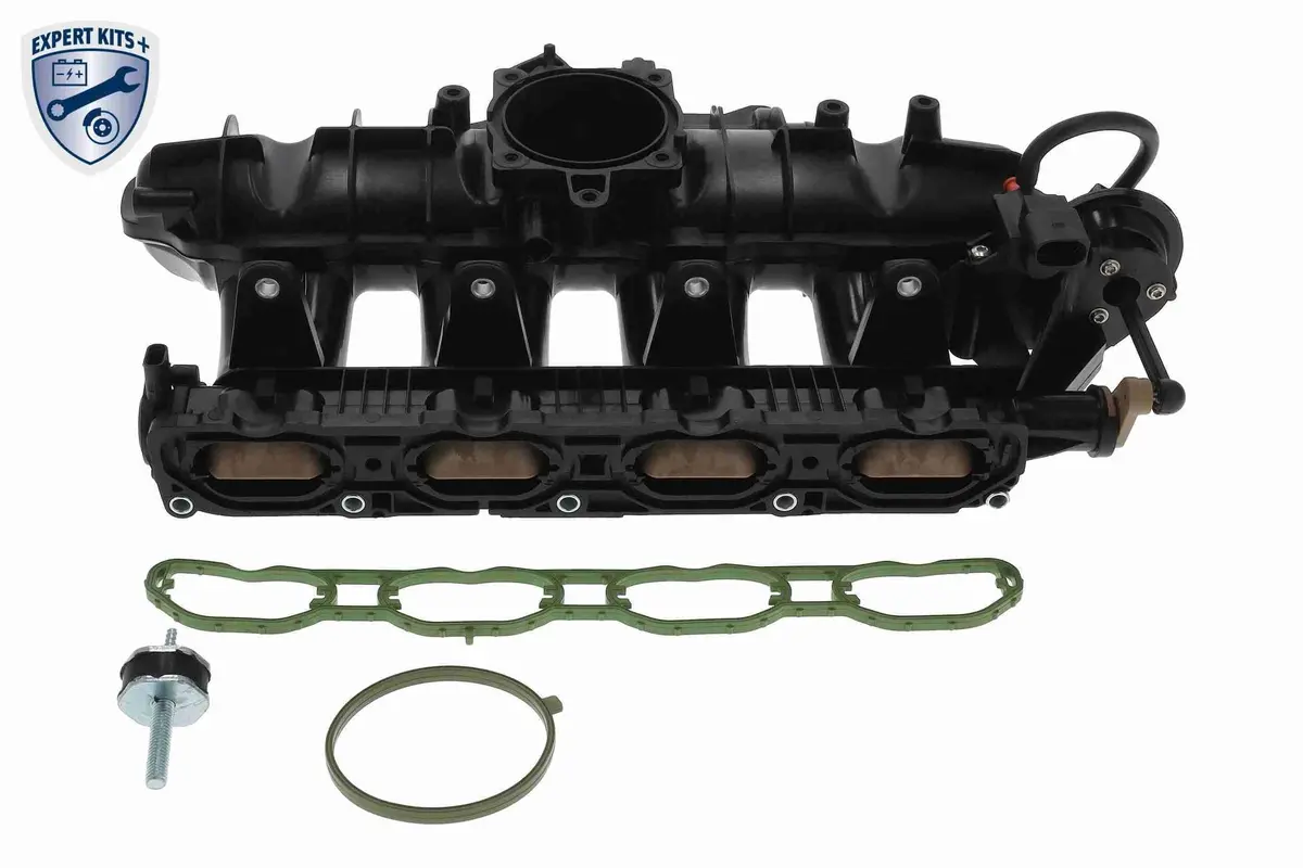 Intake Manifold Module - V10-6723 1