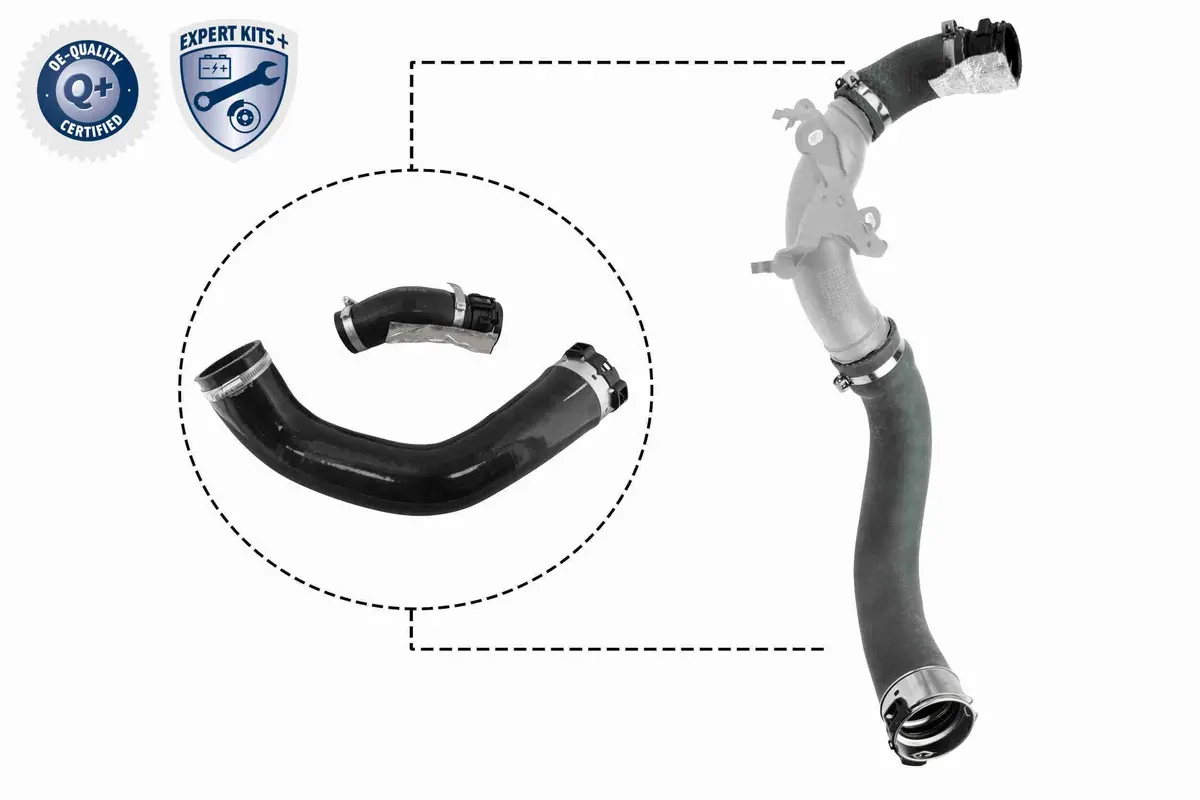 Charge Air Hose - V46-1025 1