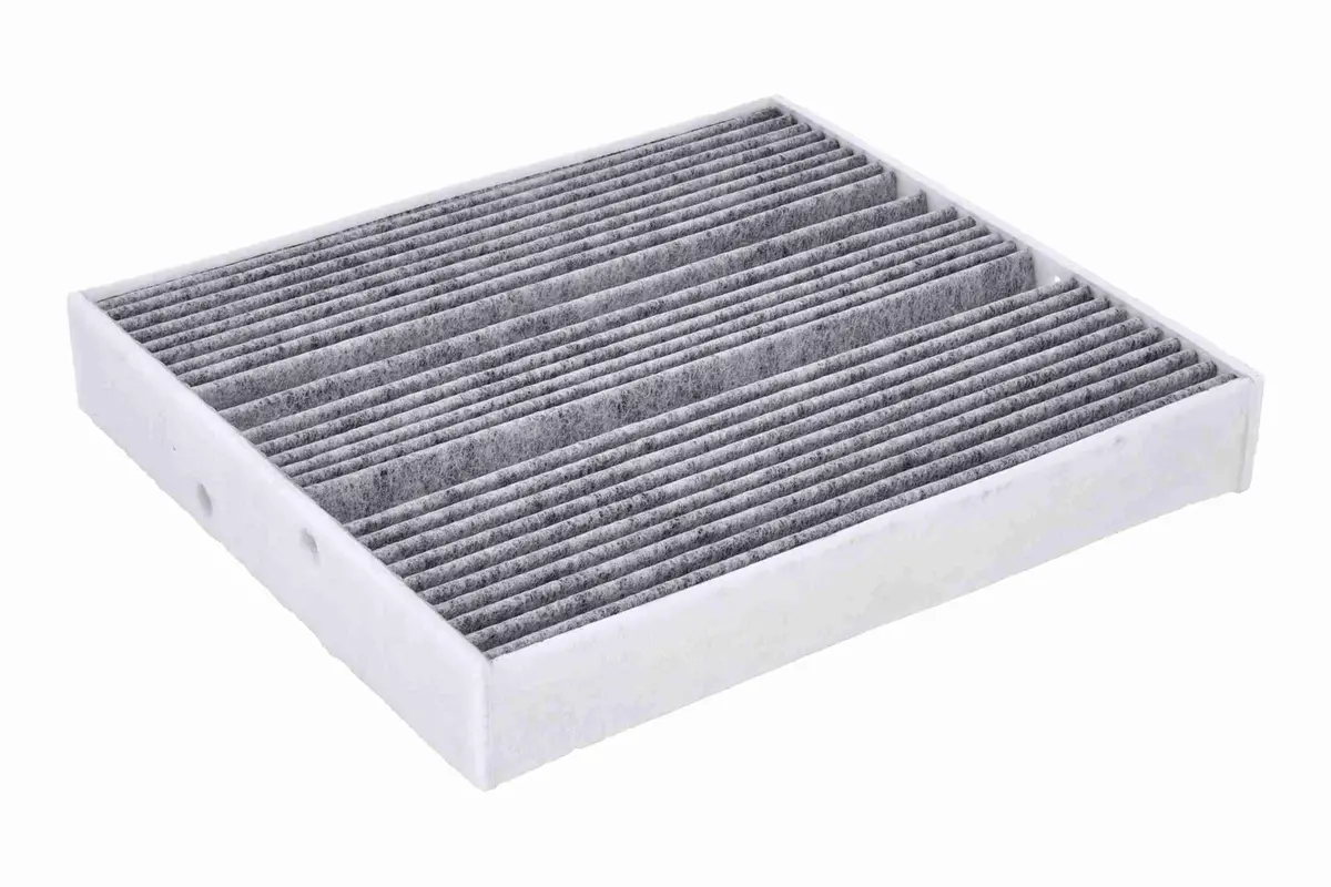 Filter, Cabin Air - V30-31-0001 1