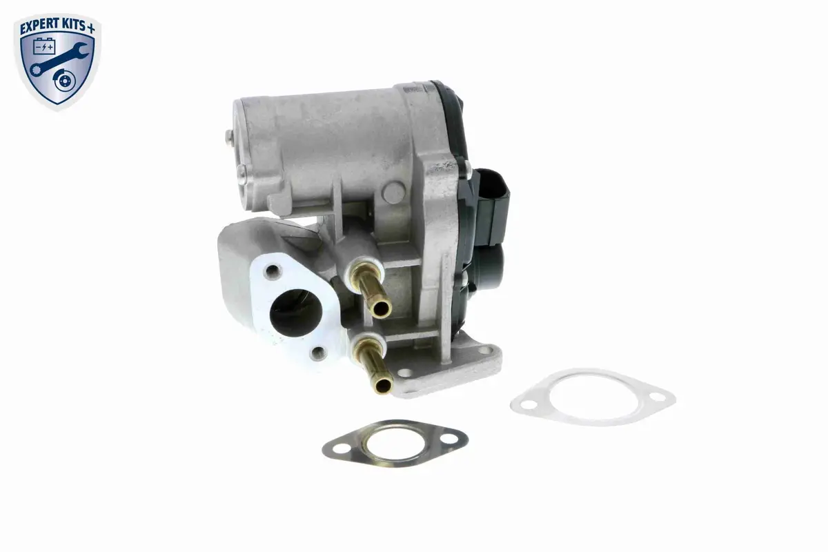 Valve, Exhaust Gas Recirculation - V10-63-0012 1