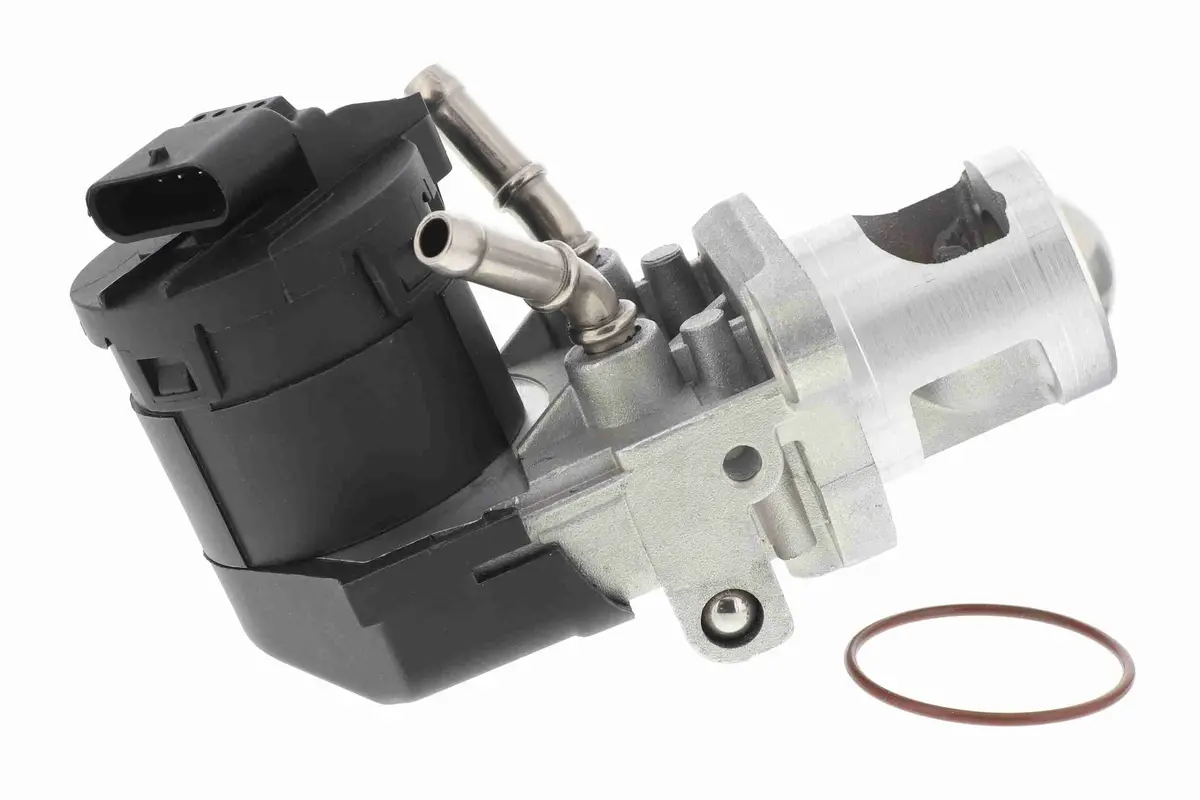 Valve, Exhaust Gas Recirculation - V20-63-0012 1