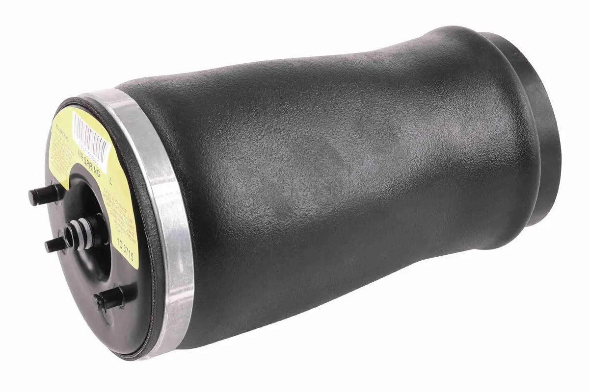 Air Suspension Strut - V20-50-0003-1 1