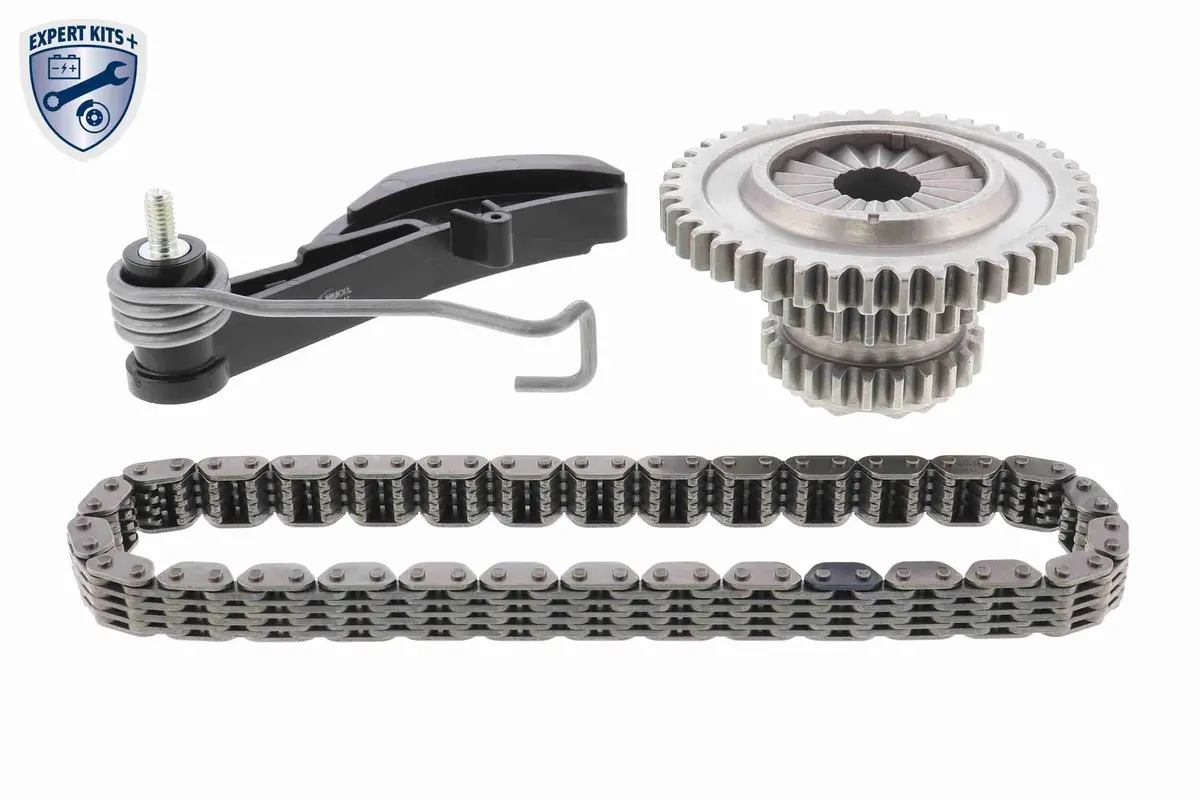 Chain Kit, Oil Pump Drive - V10-5856 1