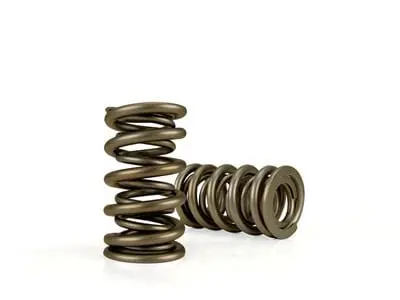 Race Street Dual Valve Spring Kit – Race-Ready Spring Pressure & Durability 1